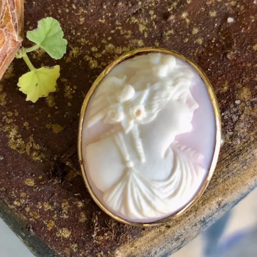 Antique Pink Conch Shell Cameo Brooch 10k Gold