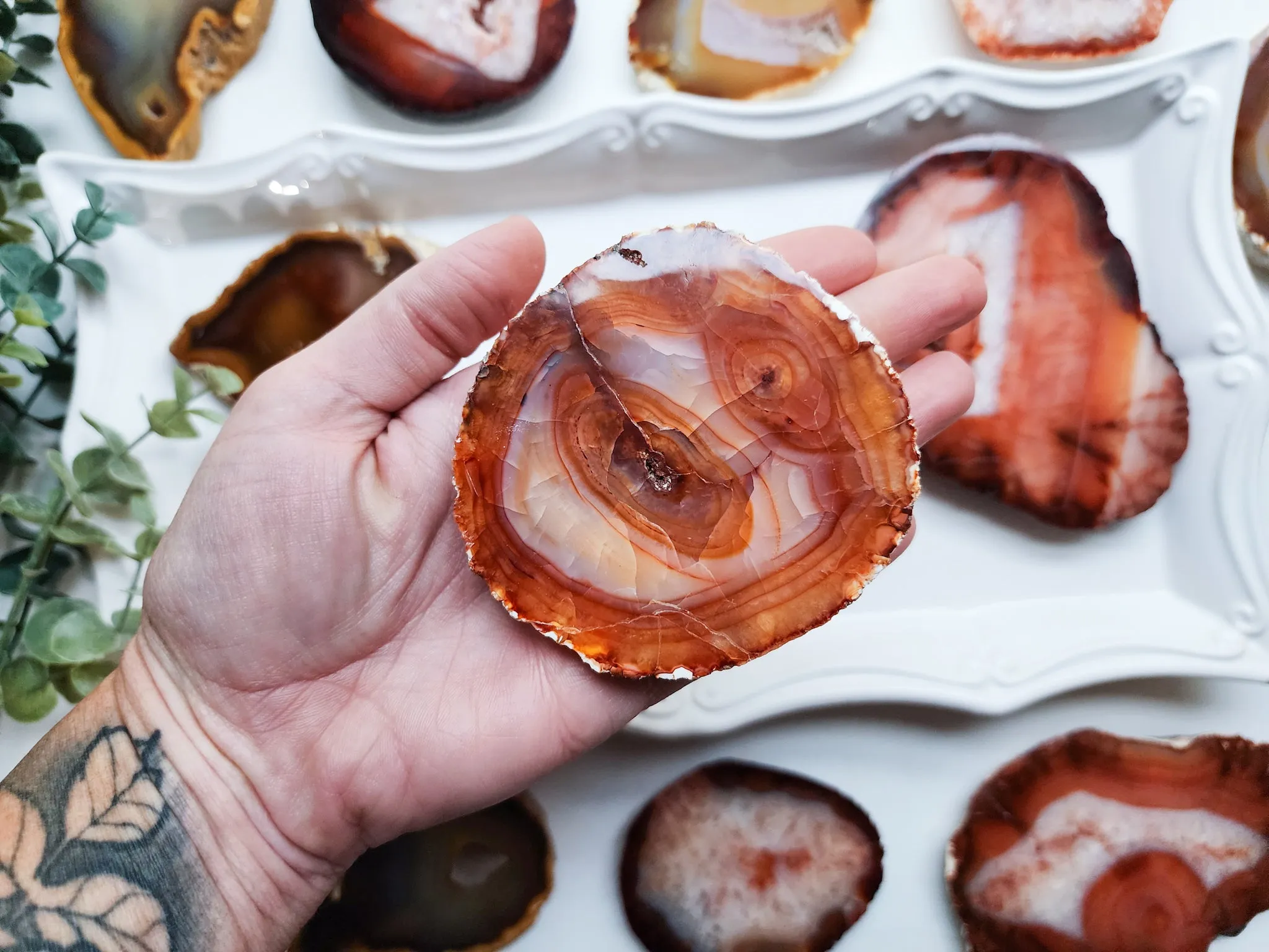 Carnelian Raw & Polished Slab || Madagascar