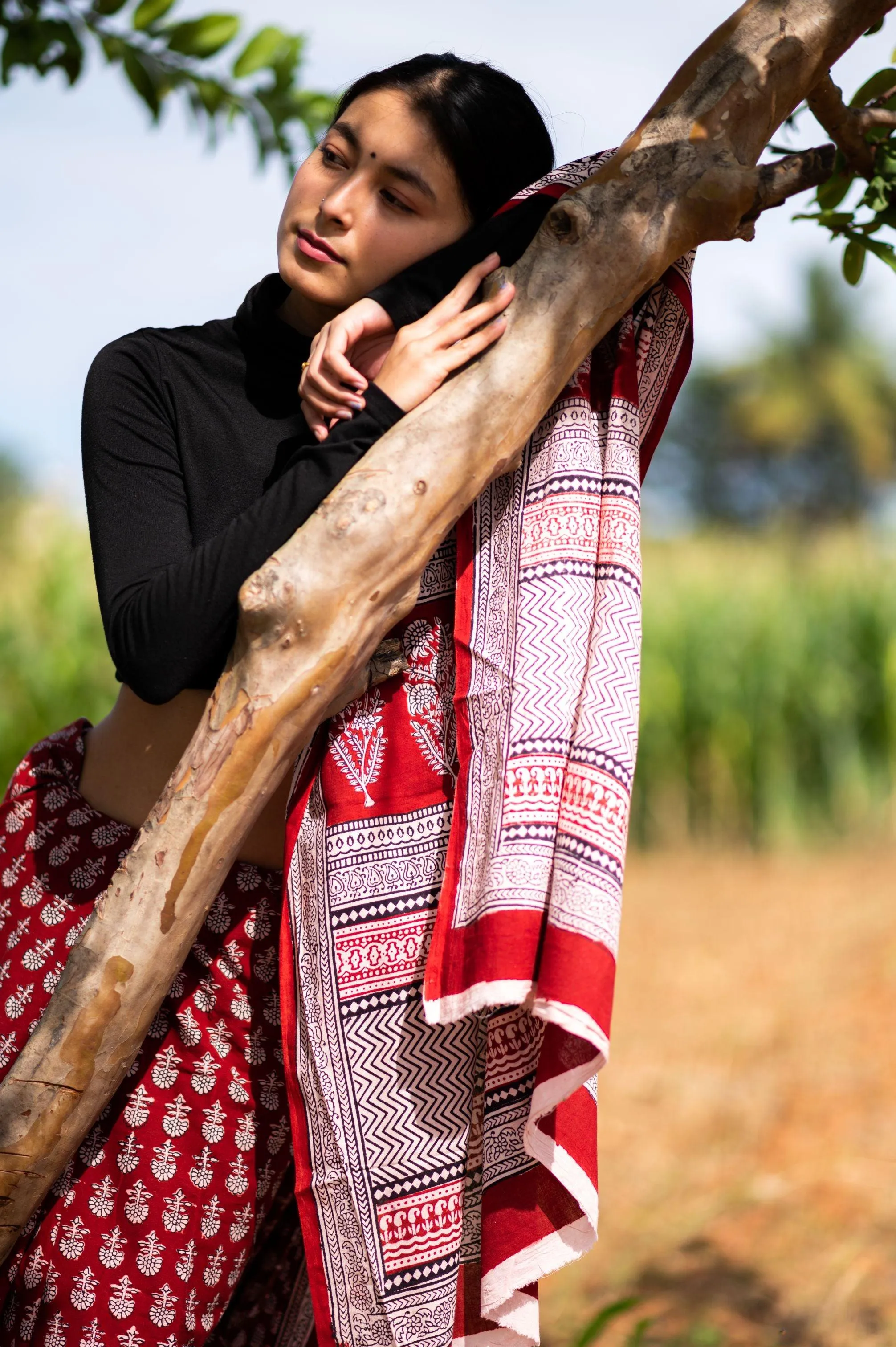 Kaisori Nandana - Maithir Bagh handblockprinted cotton saree