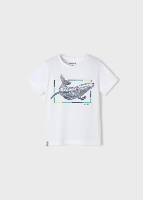 Mayoral Mini T-Shirt w/ Whale Graphic_ White 3010-56