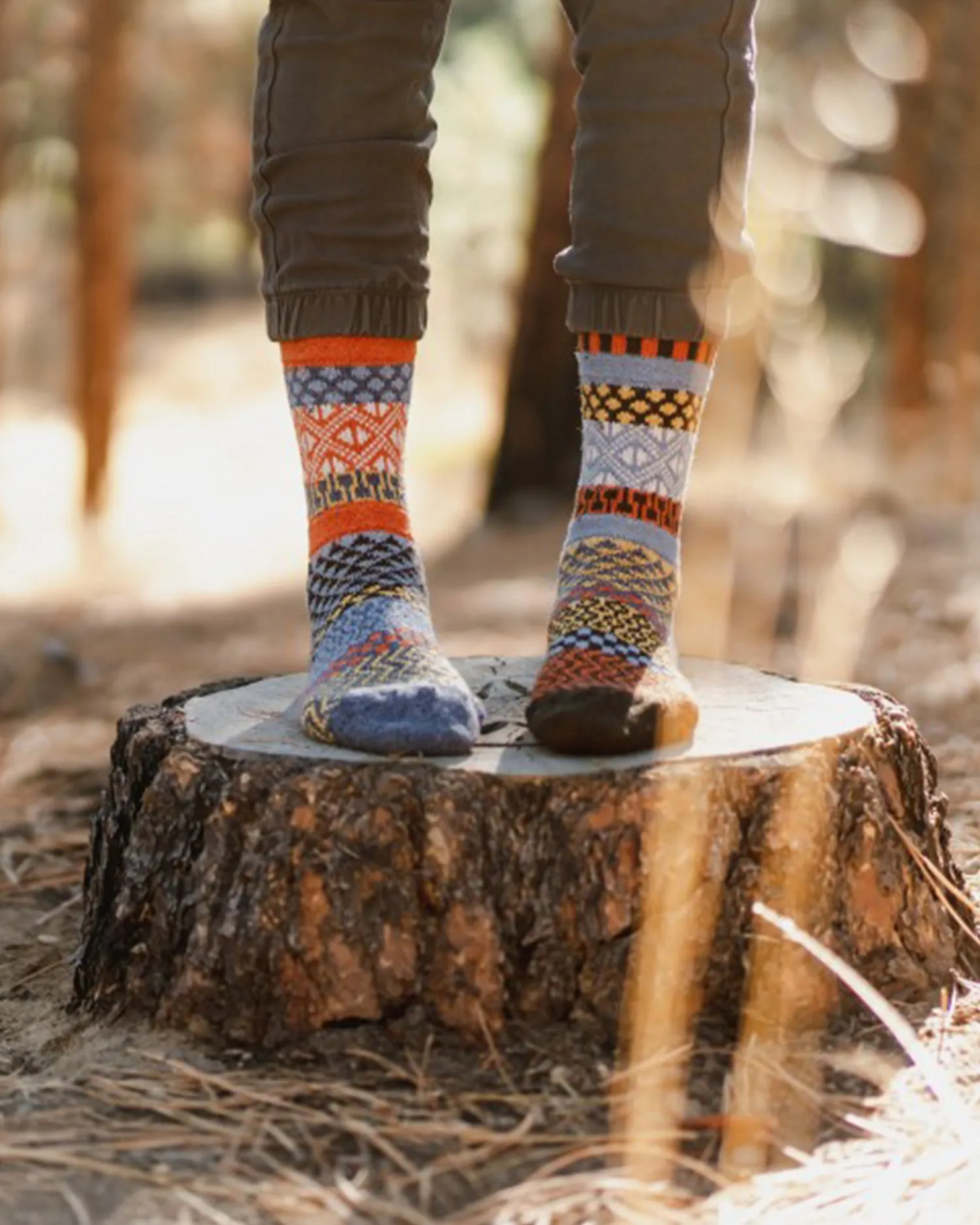 Ponderosa Wool Crew Sock