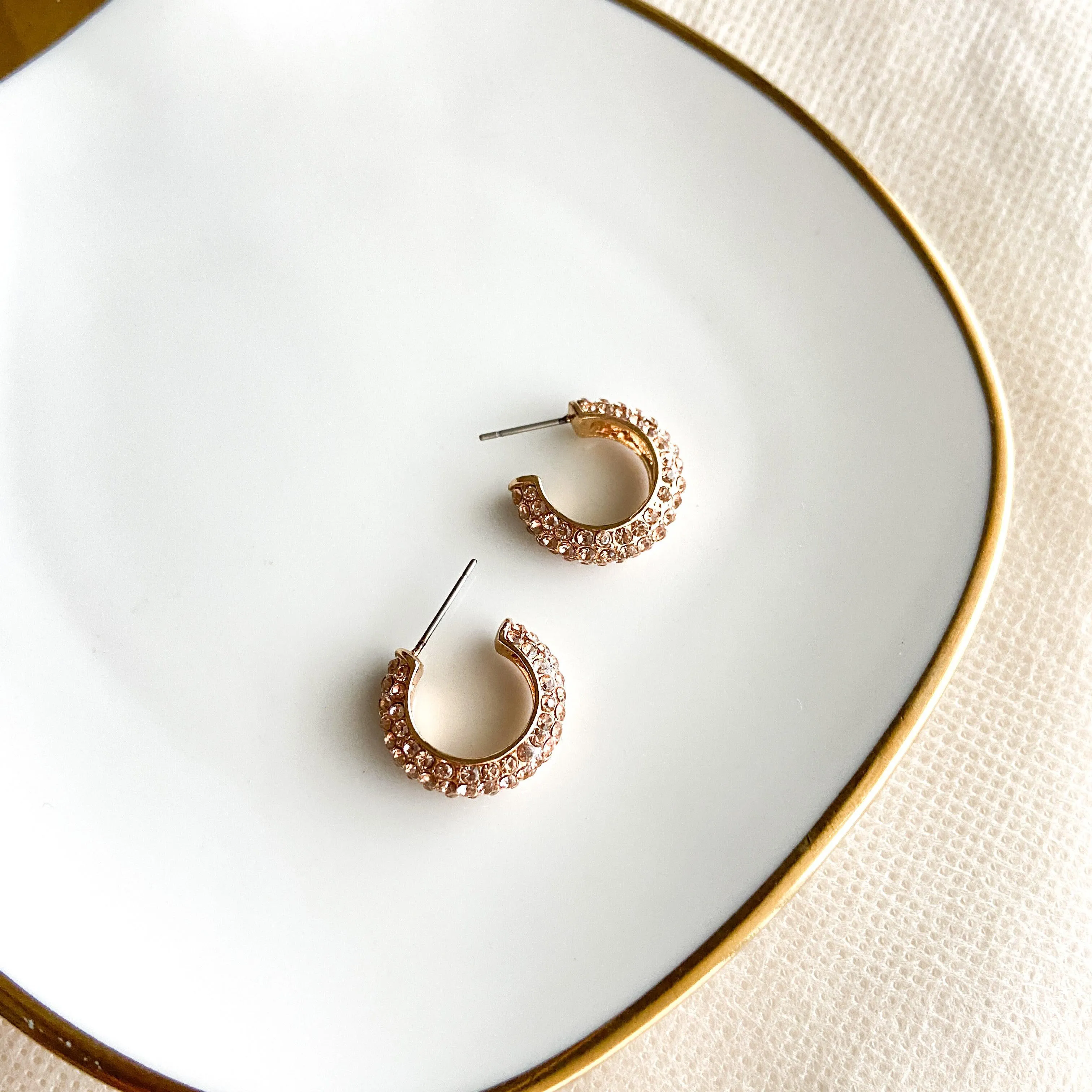 Stella Rhinestone Studded Hoop Earrings