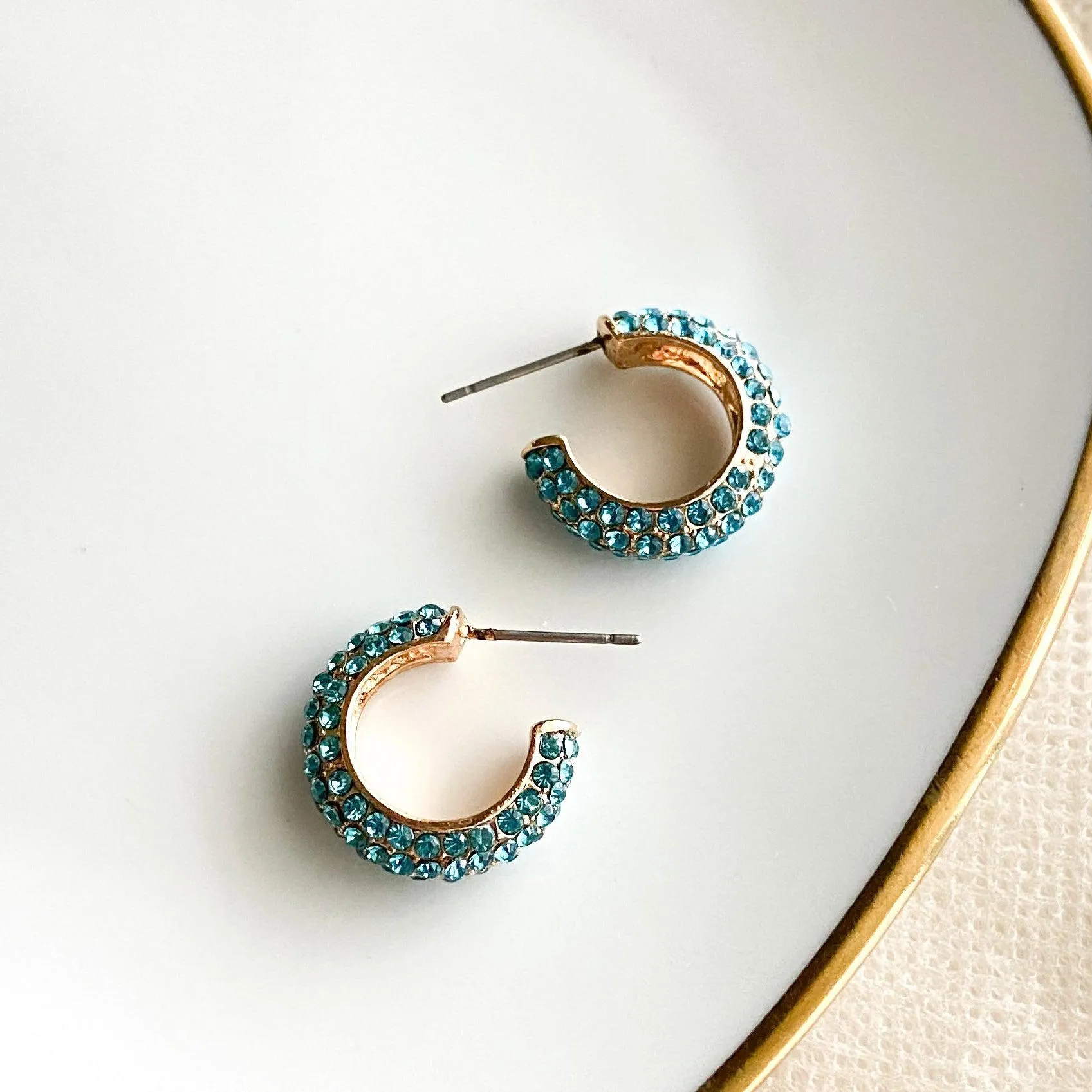 Stella Rhinestone Studded Hoop Earrings