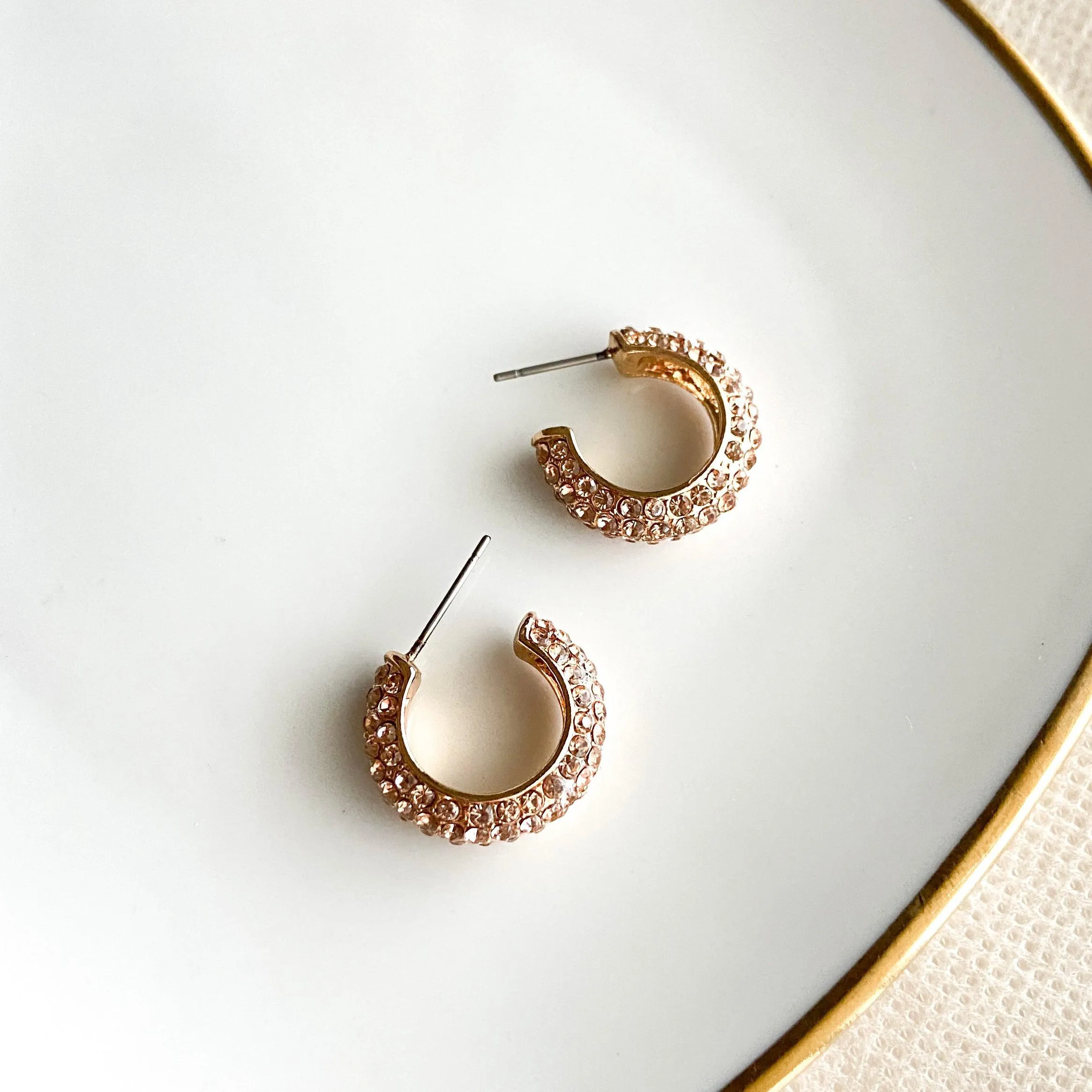 Stella Rhinestone Studded Hoop Earrings